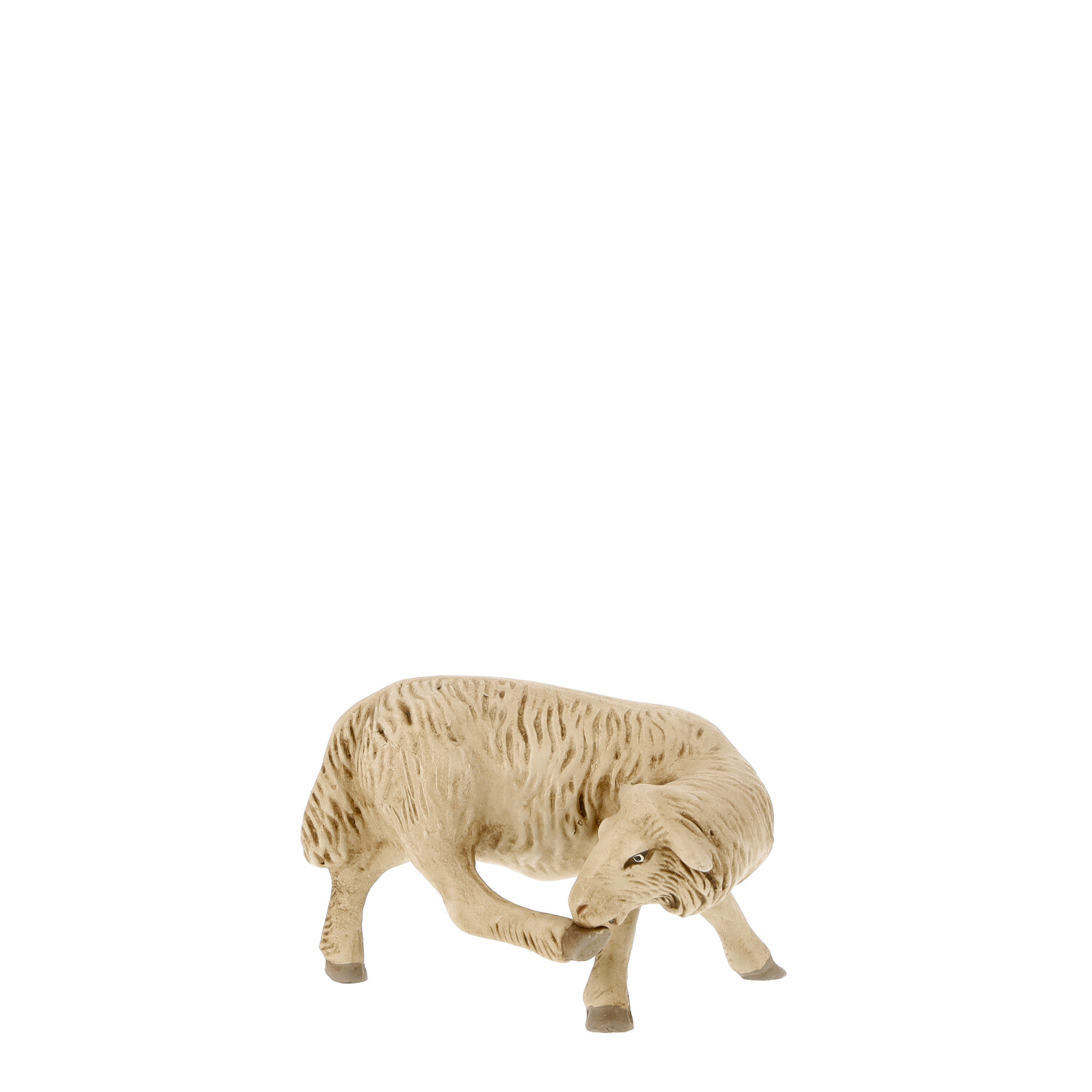 Schaf Bein leckend, zu 14cm Marolin Krippenfiguren - made in Germany