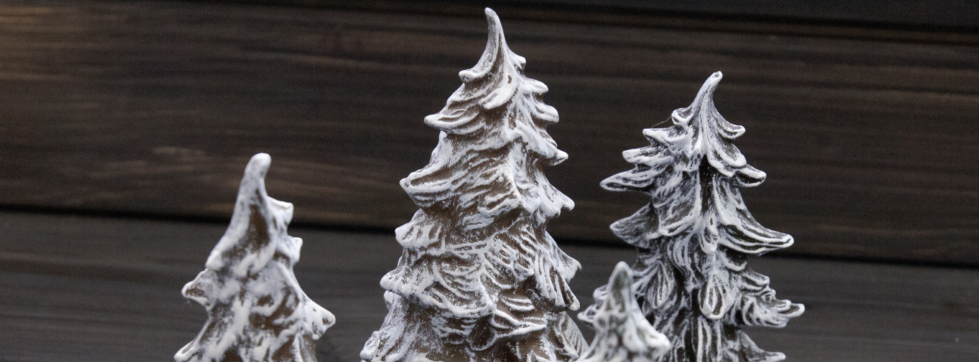 Winter Trees