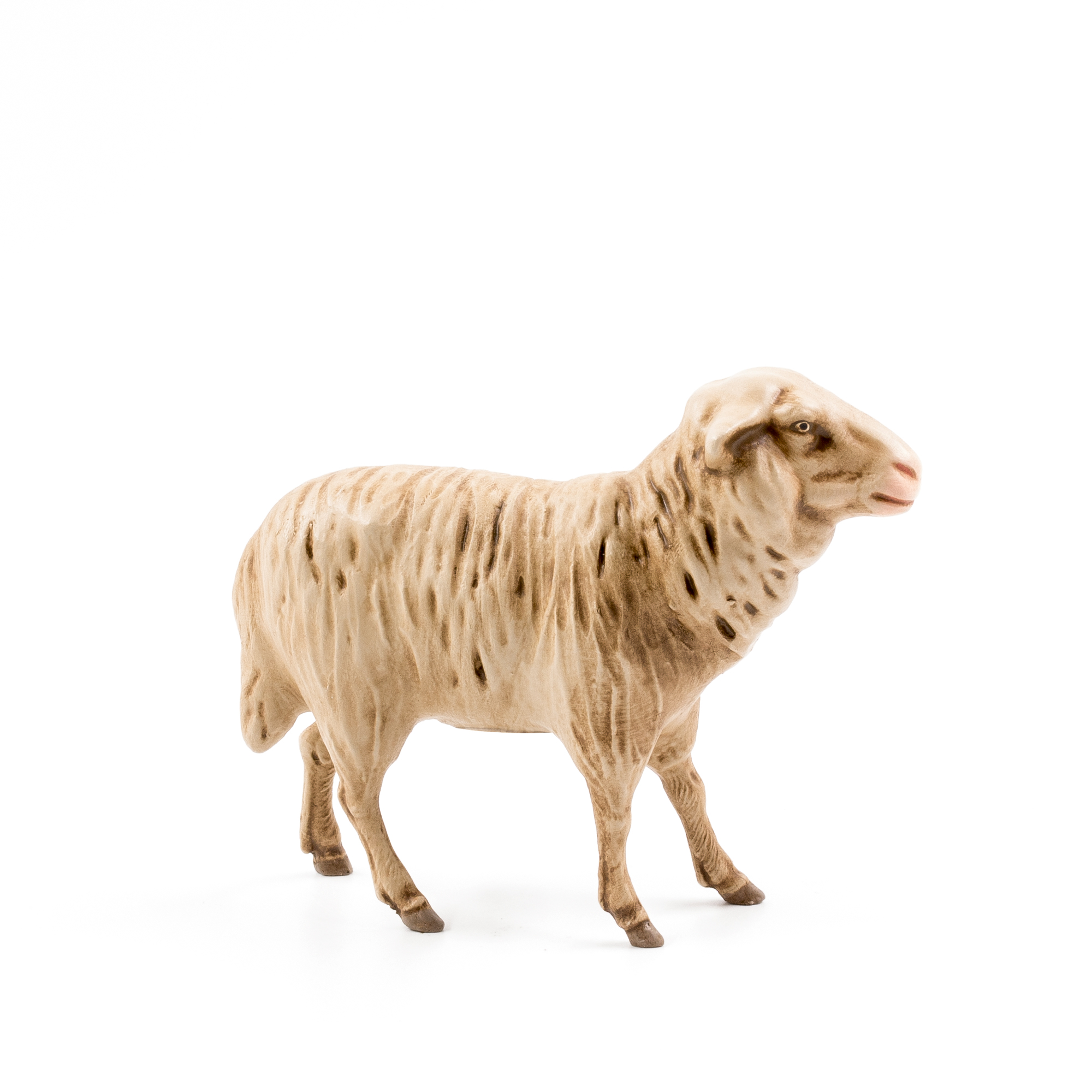Schaf geradeaus blickend, zu 17cm Figuren