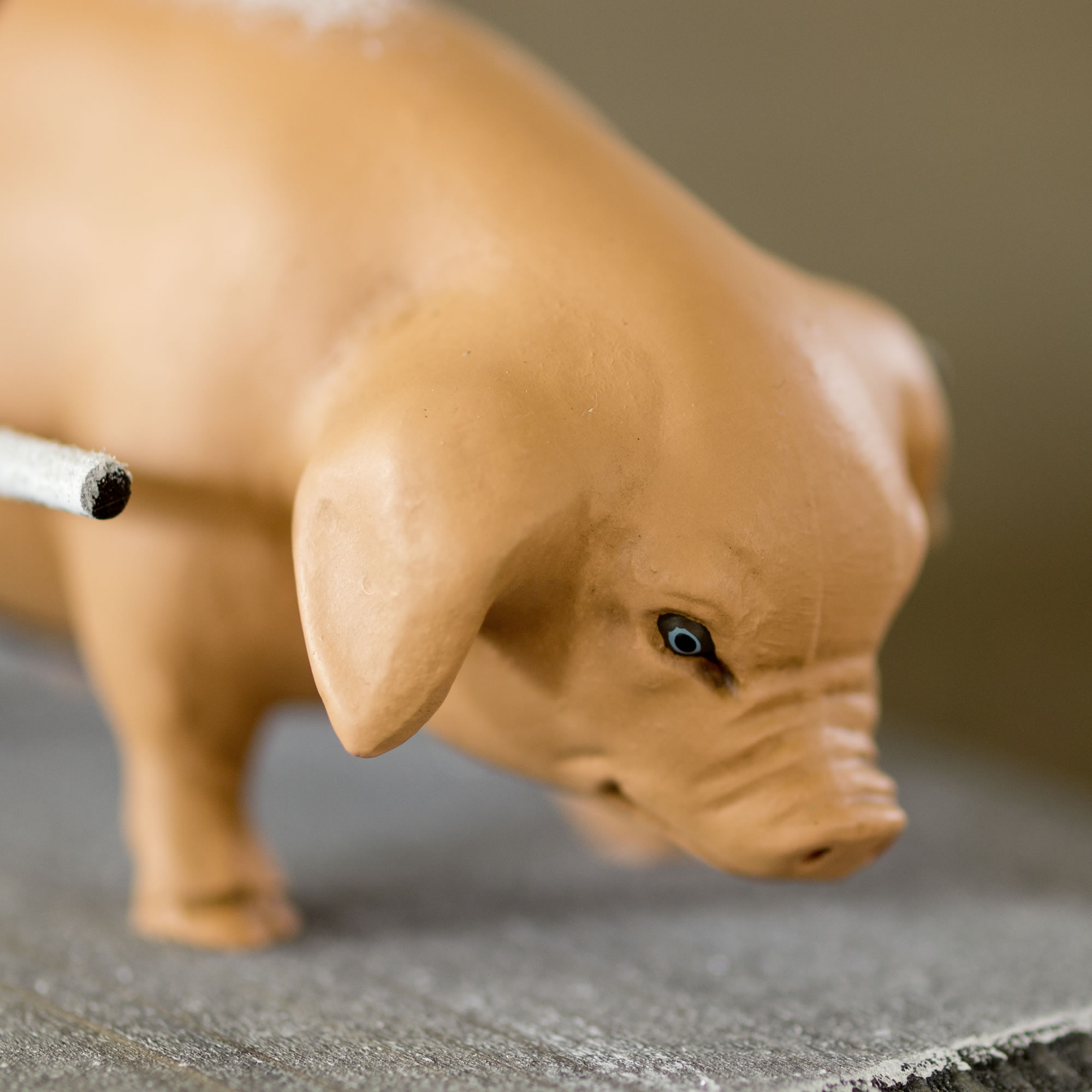 Schwein Dekofigur, Nahaufnahme auf Holzoberfläche