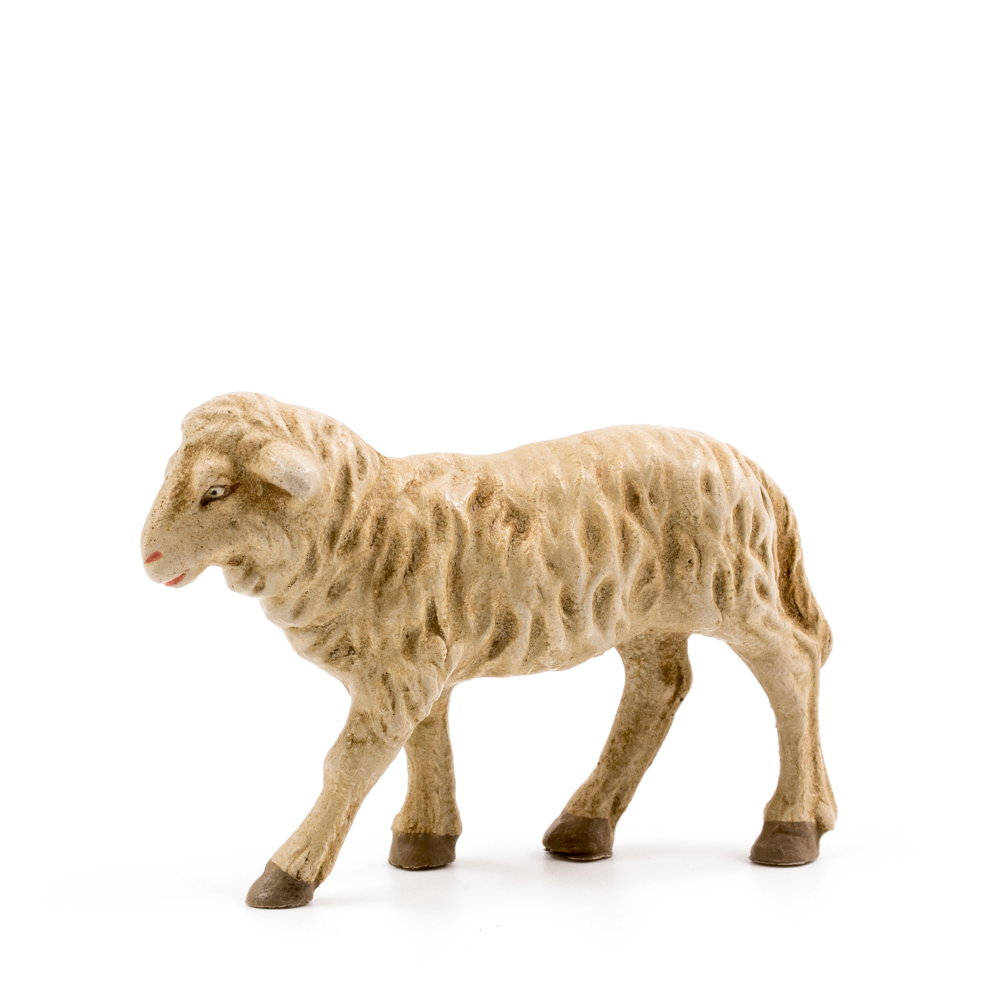 Schaf geradeaus blickend, zu 9 - 10cm Figuren