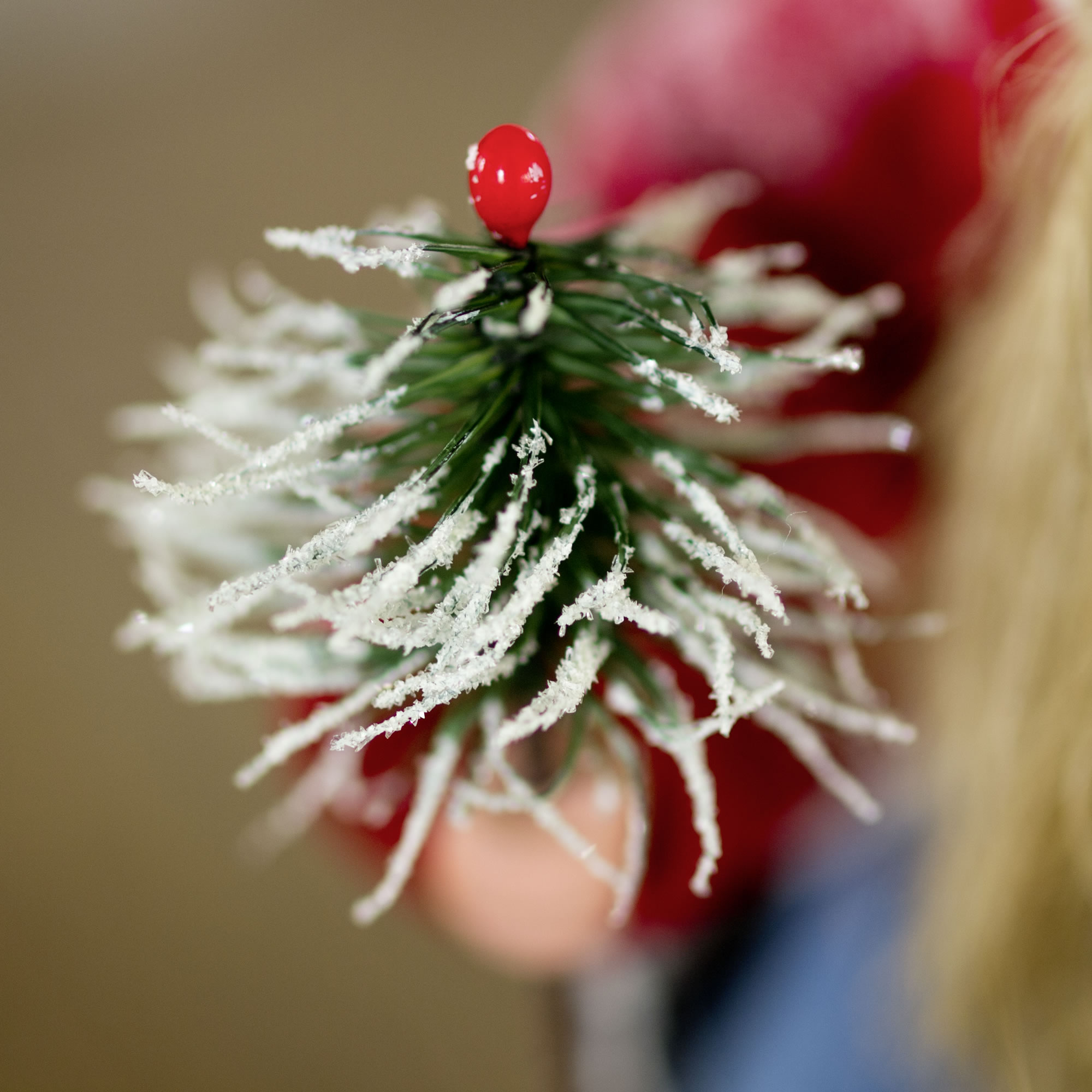 Weihnachtsgespann mit Glücksschwein